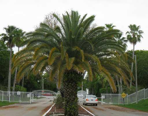 LAS VERDES SEAGRAPE CONDO - Residential