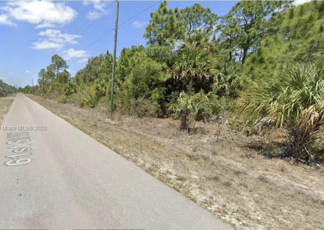 Lehigh Acres - Land