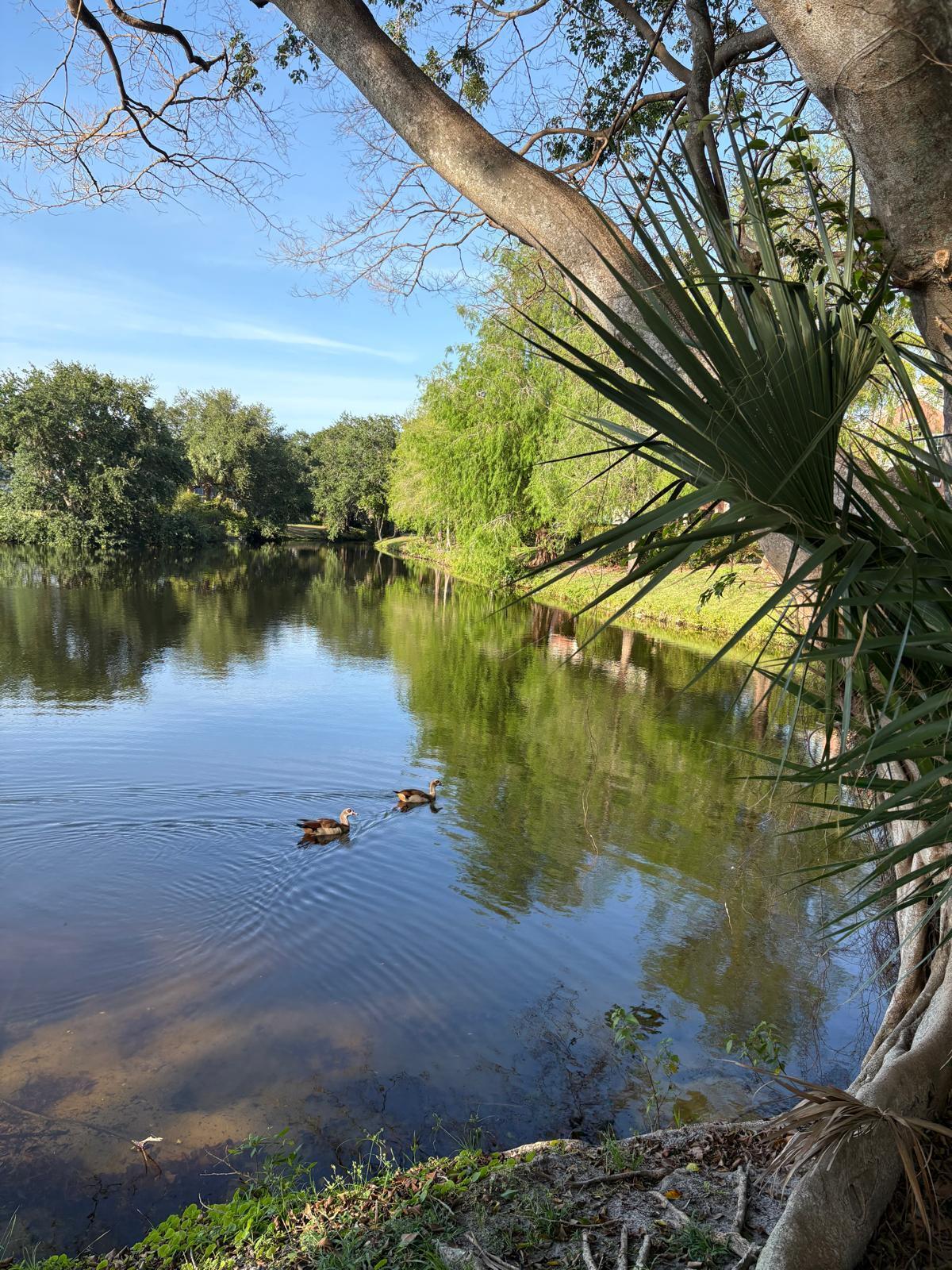 BAHIA AT DELRAY CONDO - Residential Lease