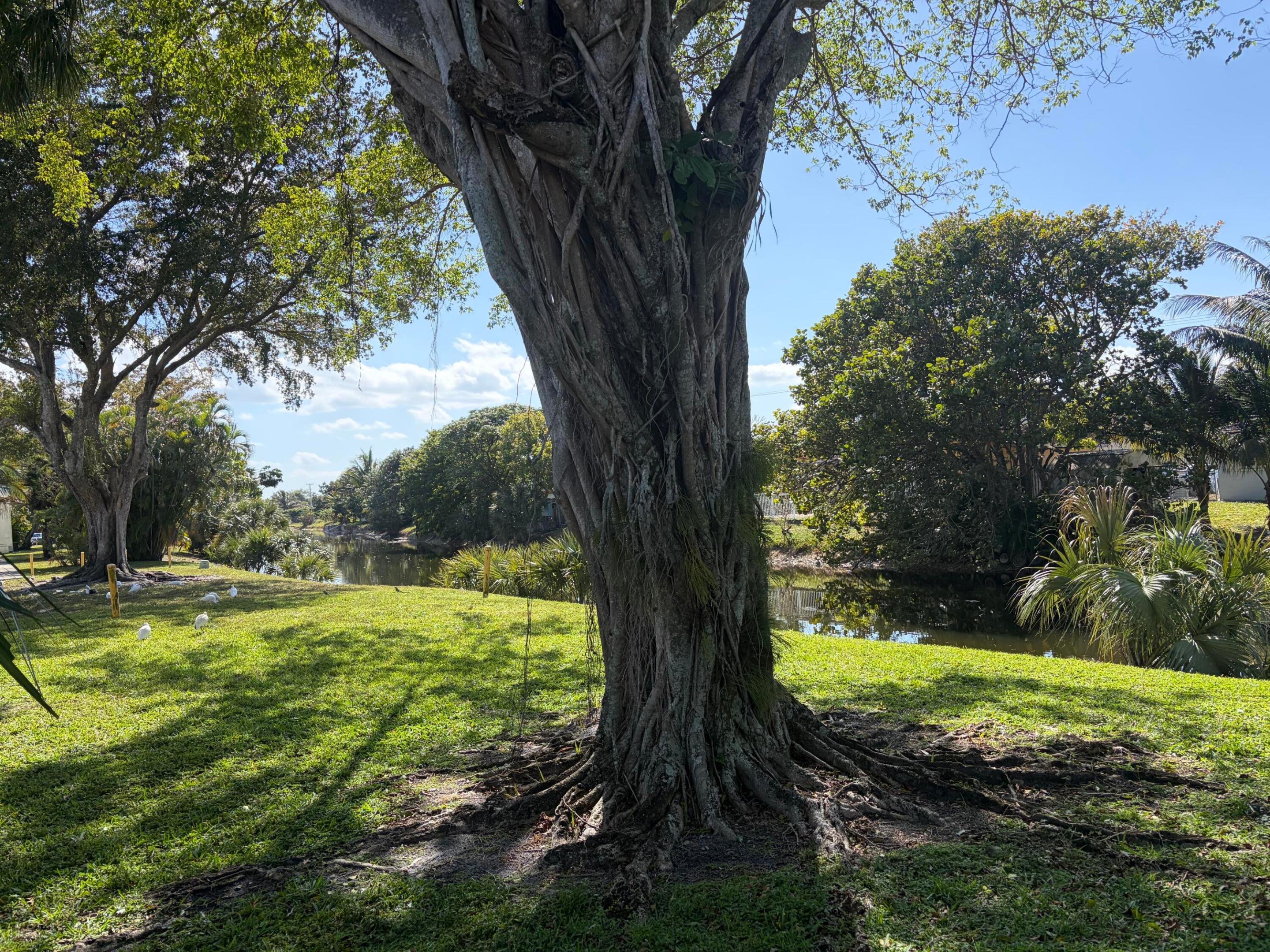 NEWPORT AT LAUDERHILL CONDO - Residential Lease