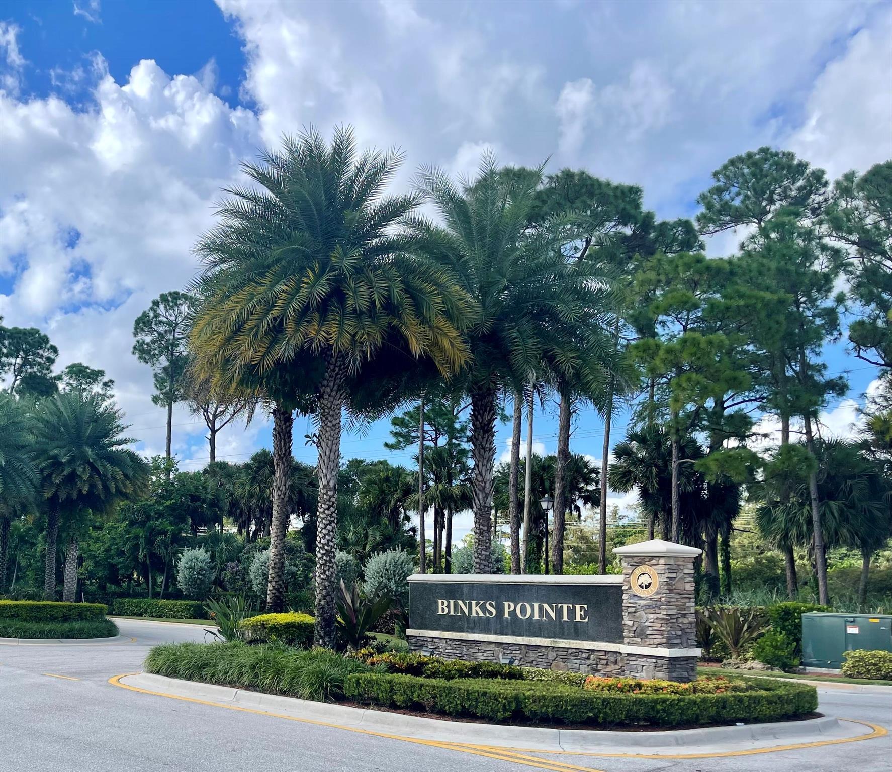 Properties 151 Sword Fern Place