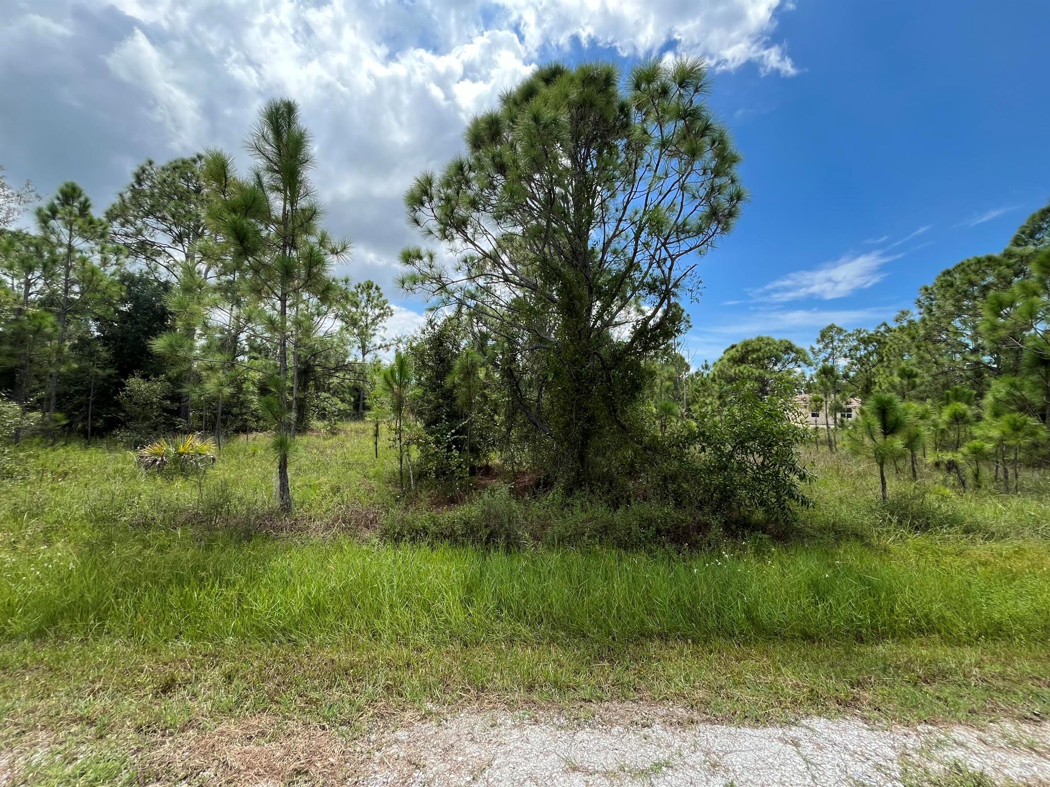 Must see!! Beautiful vacant land waiting for you to build your dream home. This lot in the desirable city of Punta Gorda benefits from its prime location, offering easy access to an array of amenities and attractions. Enjoy the beaches and fishing nearby in Charlotte Harbor and the Gulf of Mexico. Rare opportunity here if you can visualize what it could be! Don't let this one get away whether you build your dream home or just invest for your future.