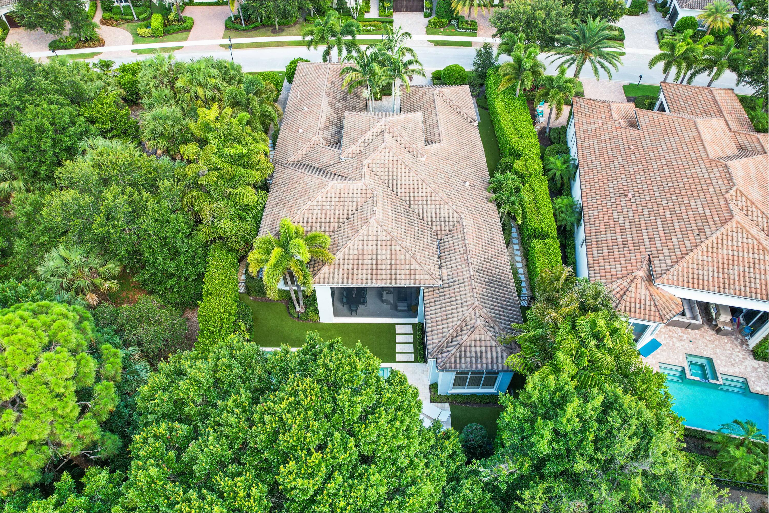 OLD PALM 2 - Residential