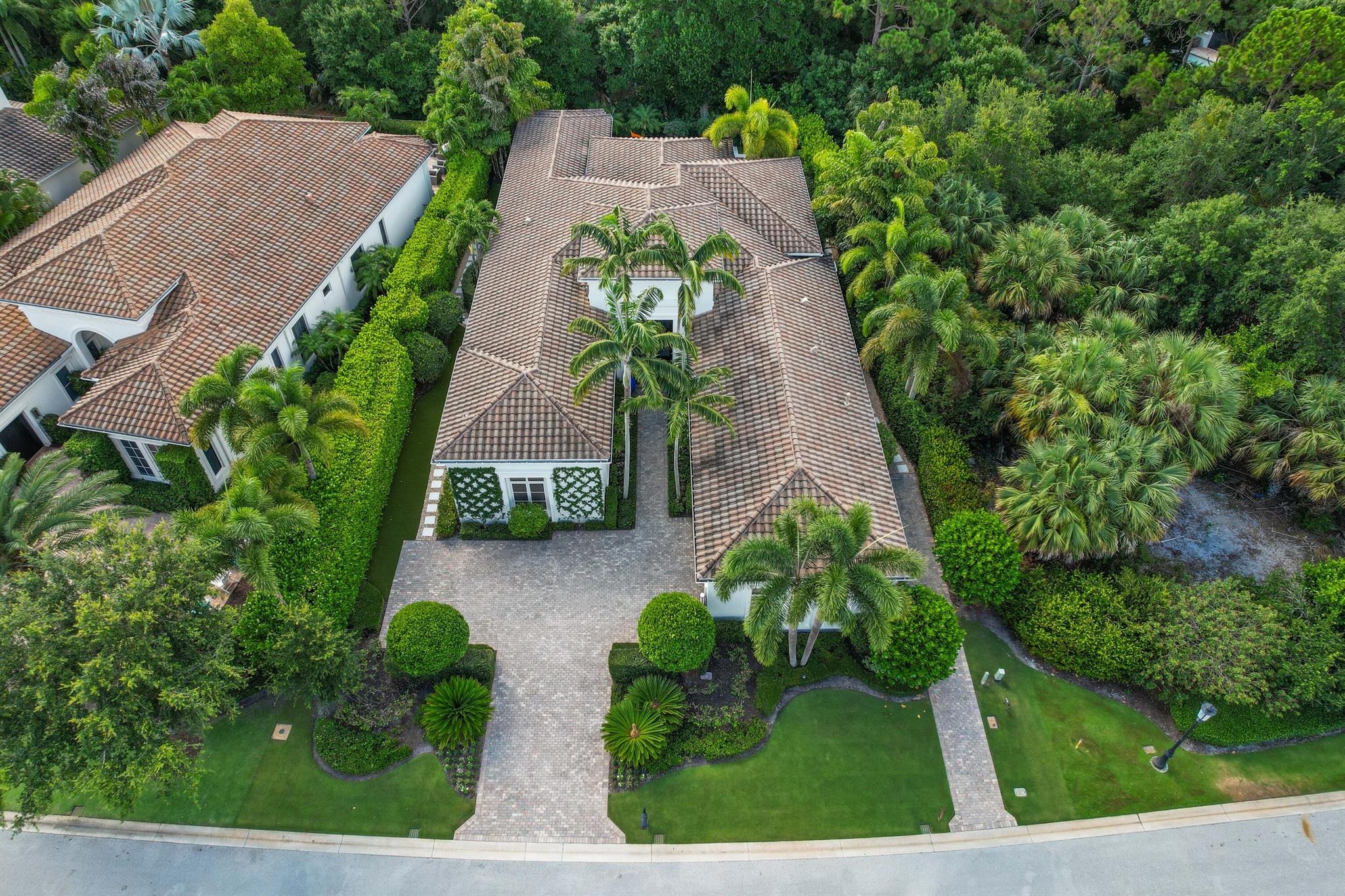 OLD PALM 2 - Residential