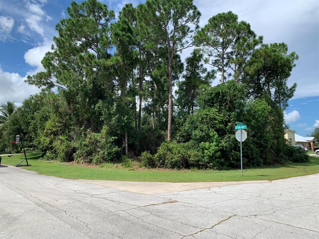 Photo of 1702 SW Aztec Avenue, Port Saint Lucie, FL 34953 (MLS # R10737347)