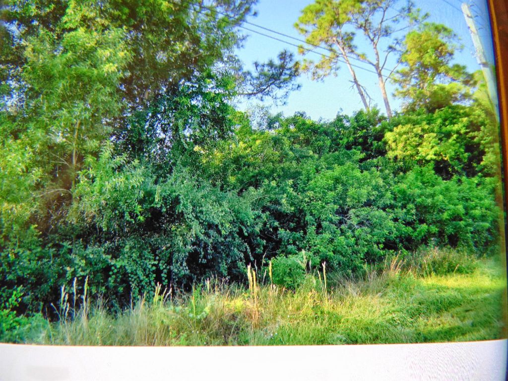 Photo of 0 Temple Boulevard, The Acreage, FL 33412 (MLS # R10927847)