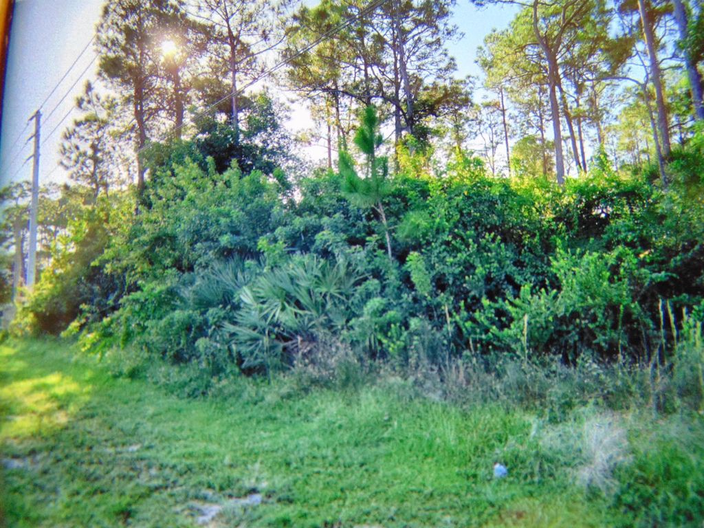 Photo of 0 Temple Boulevard, The Acreage, FL 33412 (MLS # R10927847)