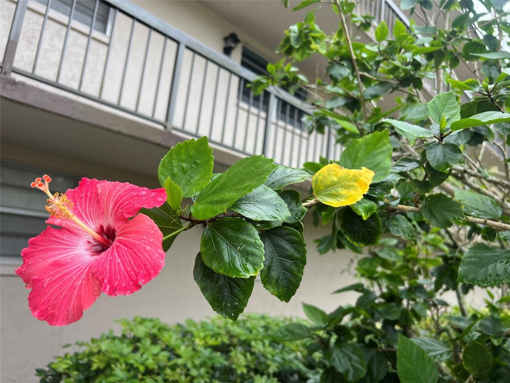 Photo of 7450 NW 17th Street #110, Plantation, FL 33313 (MLS # B26044457)