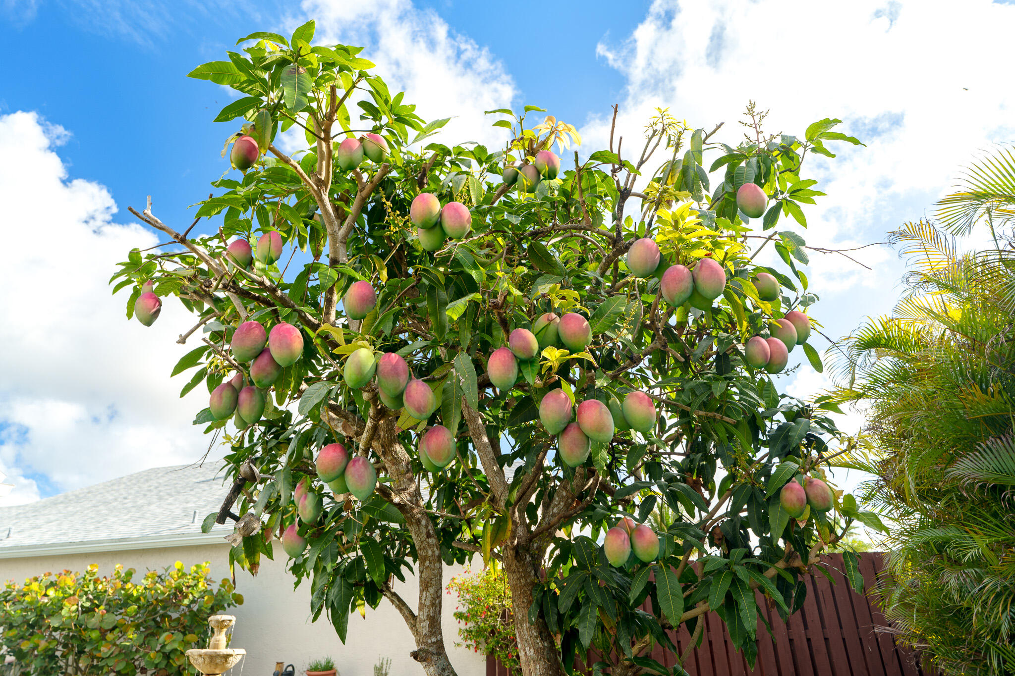 BAY WINDS 4 - Residential