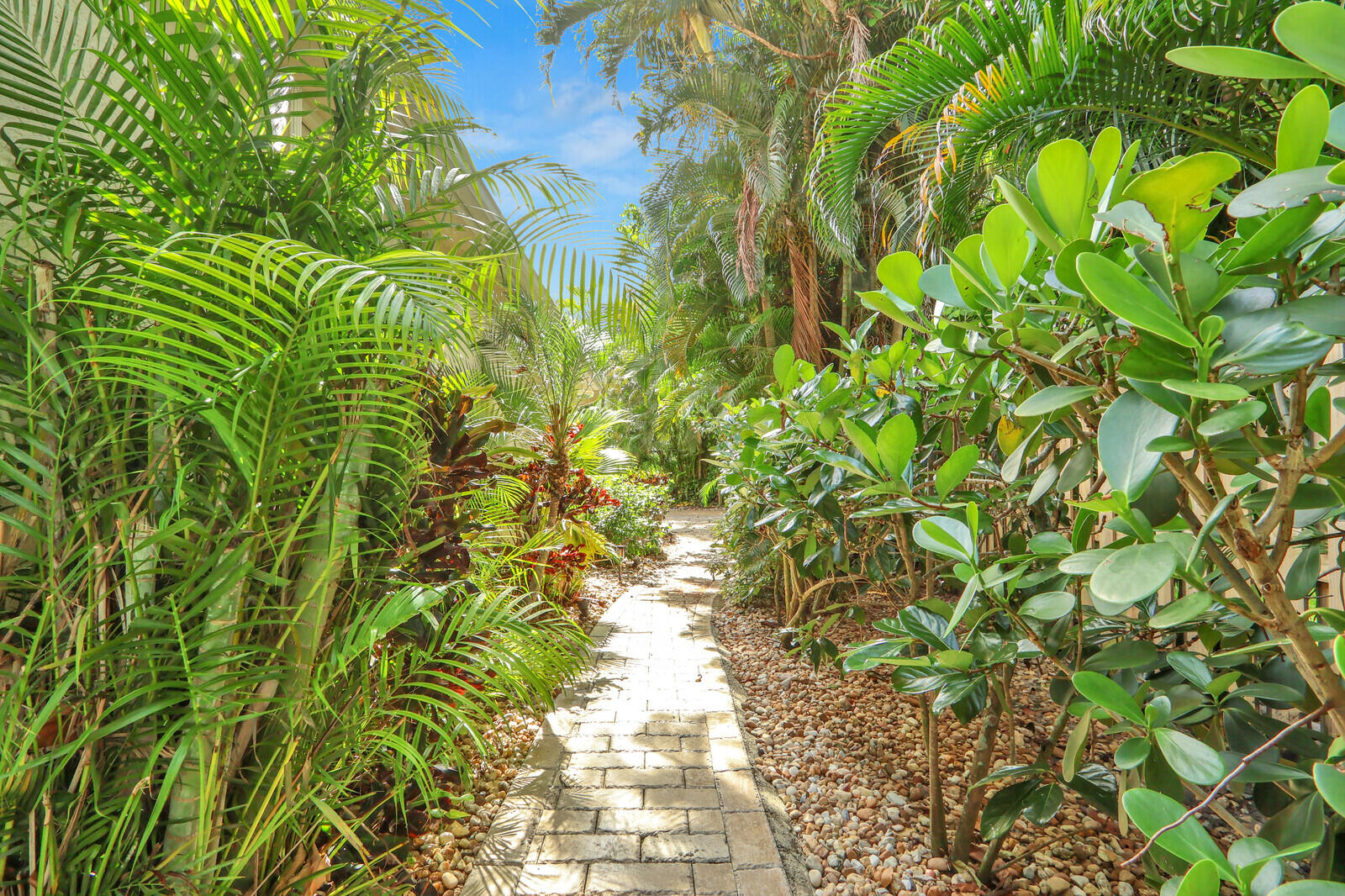 PALMS AT ATLANTIS - Residential Lease