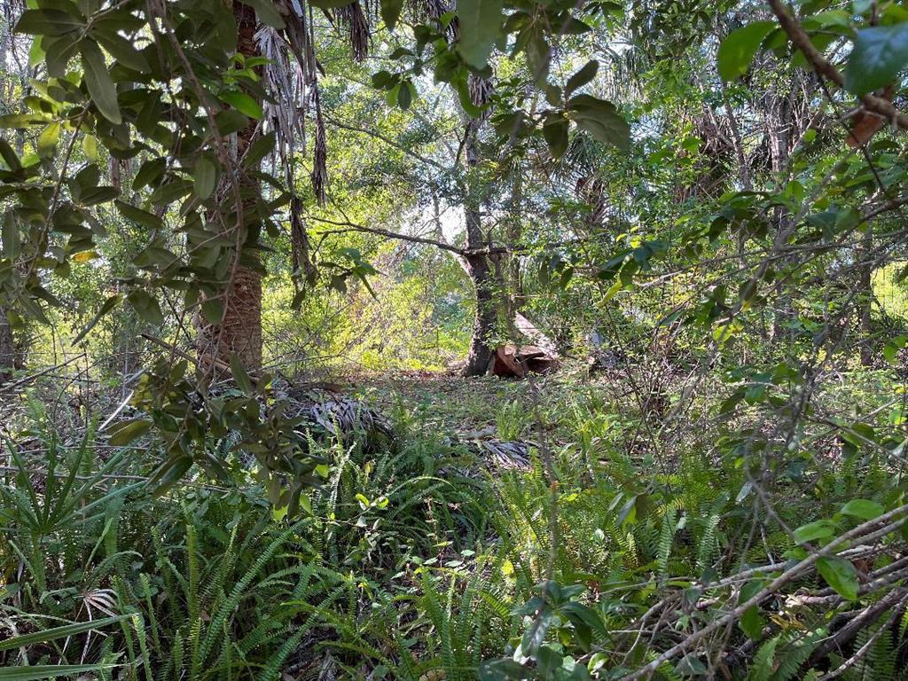 Build your dream home on this beautiful high and dry lot in desirable Sebastian Highlands. Conveniently located to beaches, boat ramps, Sebastian Inlet, Schumann Park, Riverview Park, restaurants and shopping.