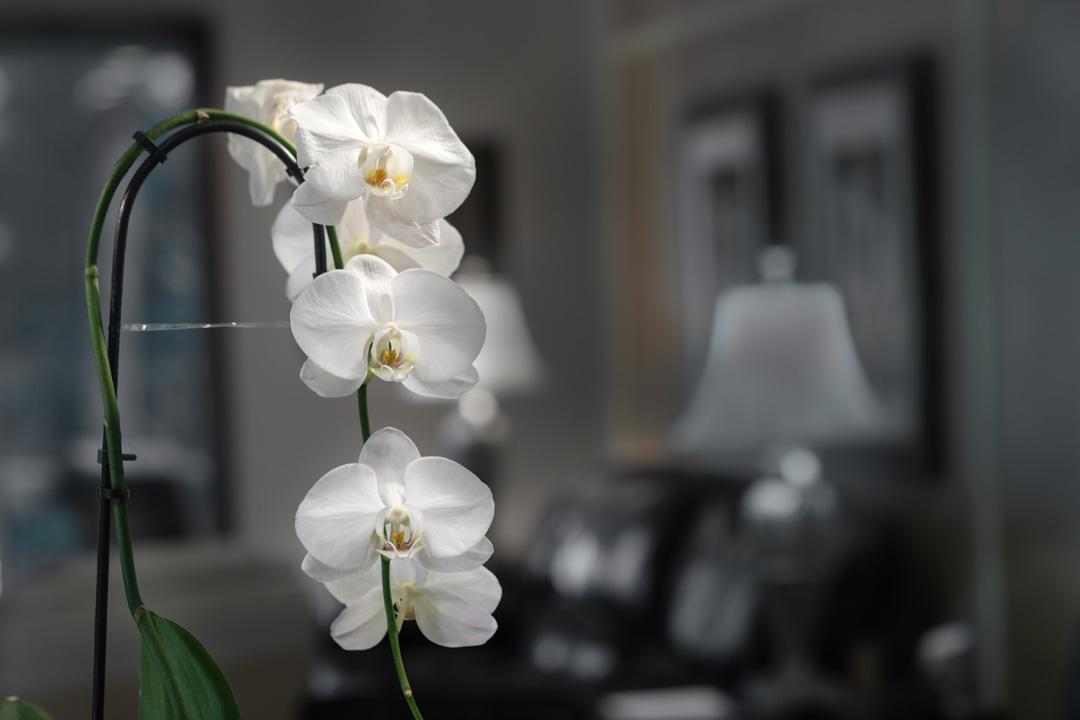 JENSEN BEACH COUNTRY CLUB - Residential