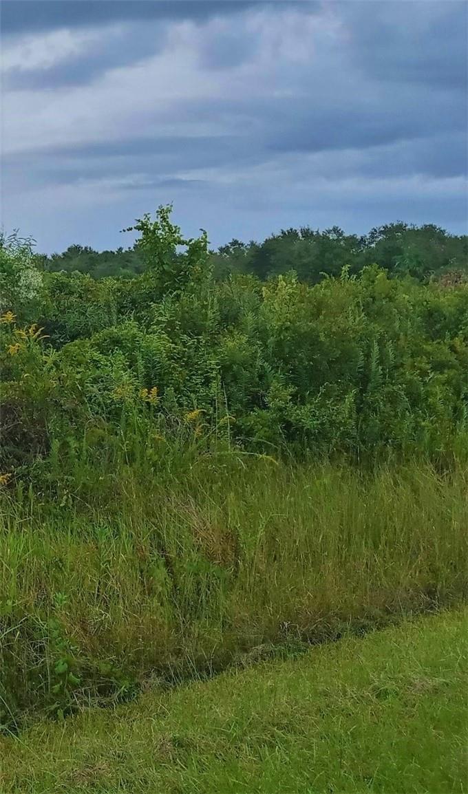 No flood zone, High and dry!! Own this 1.25-acre vacant parcel to build your dream home surrounded by nature. Powerline on the street. This community is located near Kissimmee State Preserve Park and Lake Okeechobee.