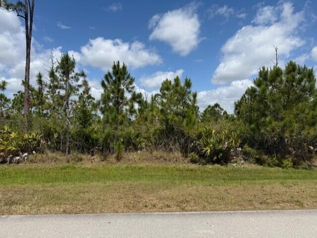 One of the Largest Lot available build your custom home on 4.5 Acres, in one of the most premier communities in Port St Lucie, PGA Village offers Champion Golf courses, every amenity you can offer, close to 95, and all restaurants and shopping, all information about this lot reliable but not guaranteed, please due diligence.