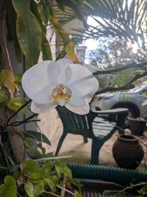 Discovery Pointe - Residential