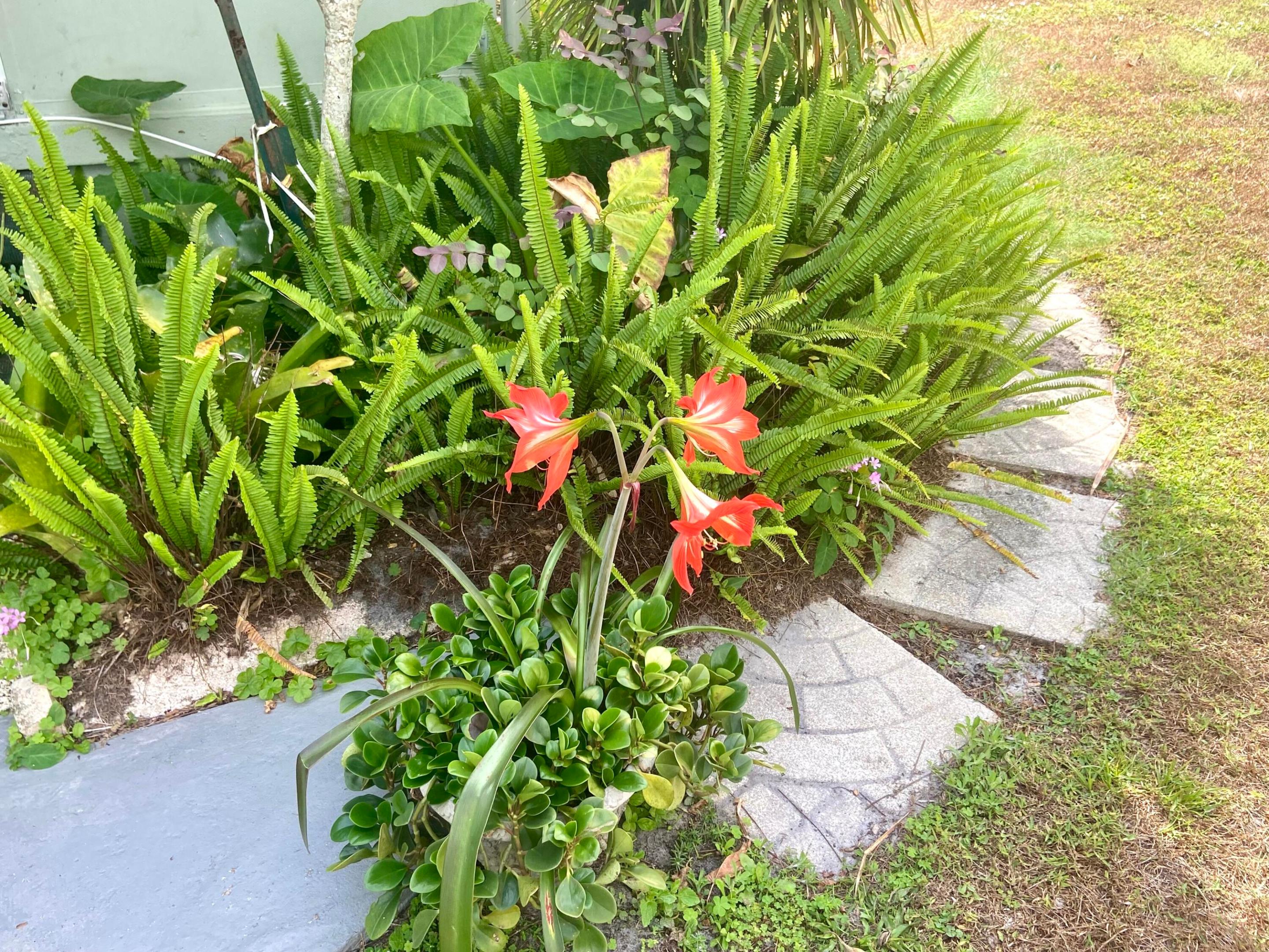 Spaanish Lakes One - Residential