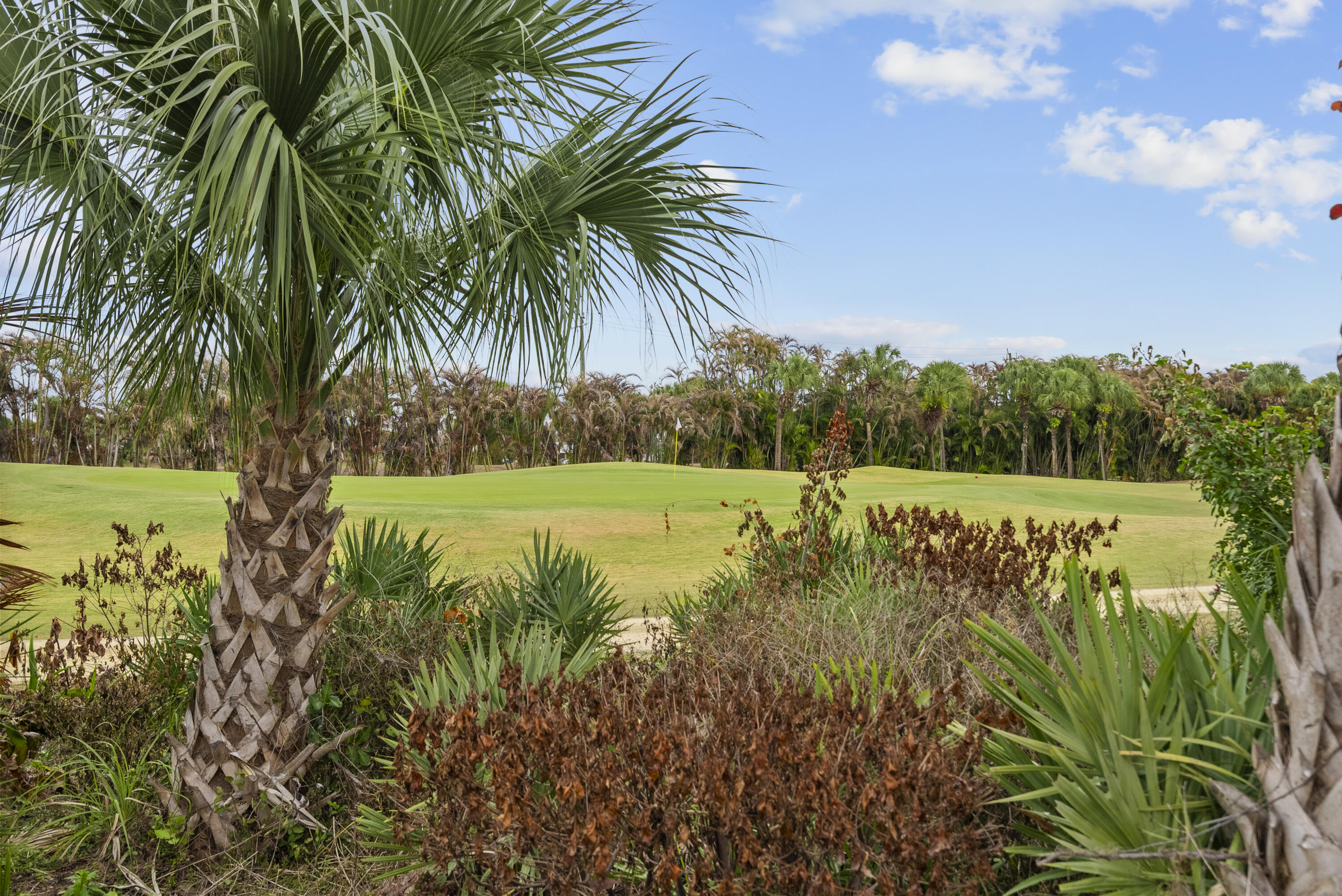 MARINER SANDS COUNTRY CLUB - Residential