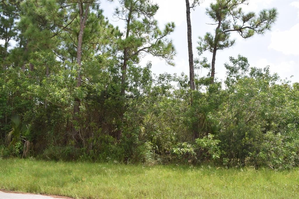 Photo of 1258 SW Santiago Avenue, Port Saint Lucie, FL 34953 (MLS # R10743044)