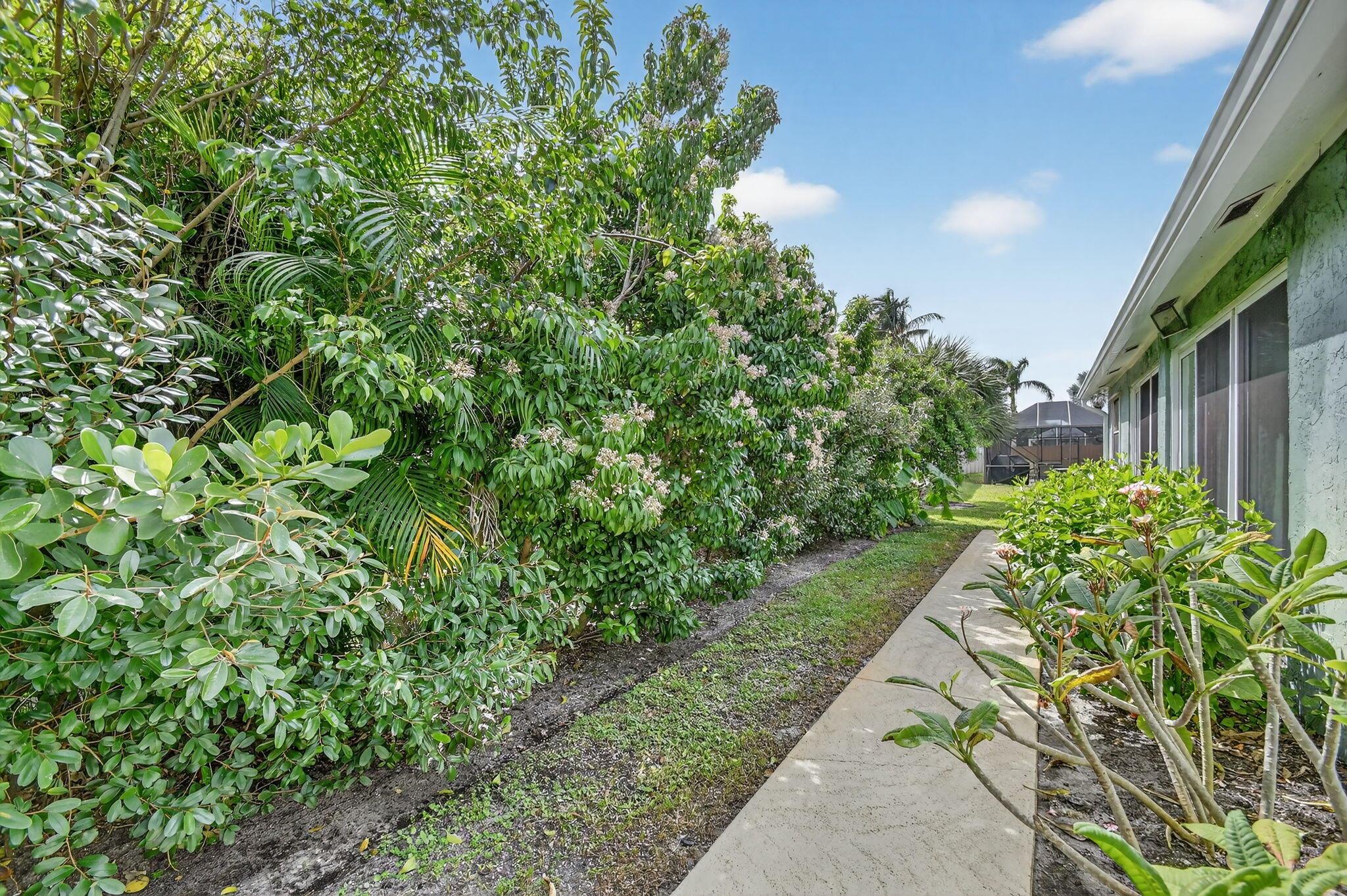 CYPRESS CREEK - Residential Lease