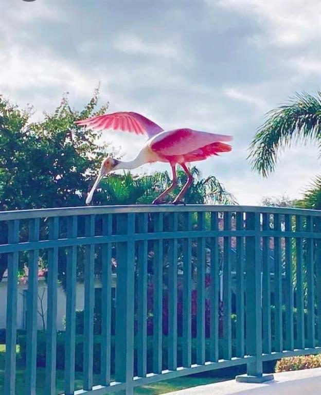 RIVERWALK 4 - Residential