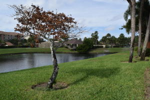 LAKES AT THE BLUFFS - Residential Lease