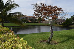 LAKES AT THE BLUFFS - Residential Lease