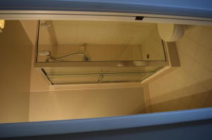 LAKES AT THE BLUFFS - Residential Lease