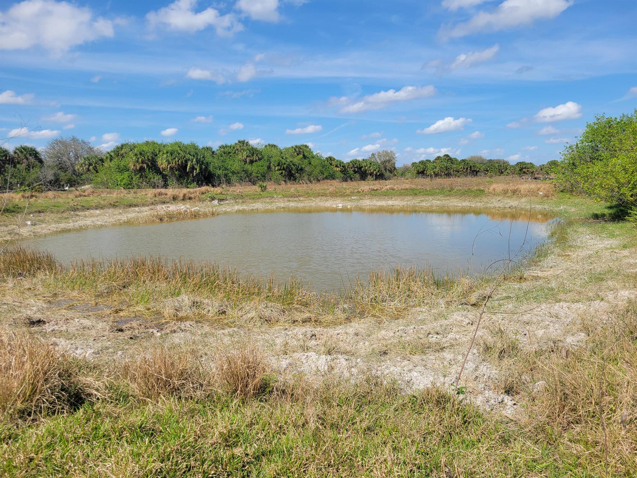20 acre lot in the back of Cabbage woods ranches. This lot is fenced on three sides, has a pond and has been partially cleared for sod or grazing. Power is available, homes or mobile homes allowed. Come make this your dream getaway.