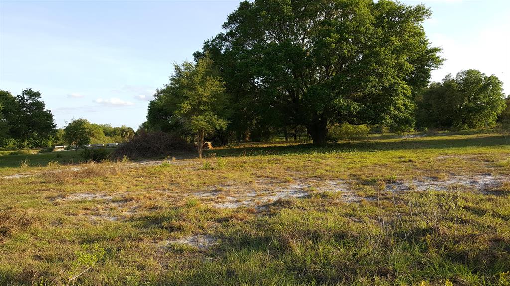 INCREDIBLE 2.5 ACRE CANAL LOT - HAS CULVERT - GREAT OAK TREES - RECENTLY CLEANED. EQUESTRIAN & NATURE LOVERS PARADISE. THIS COMMUNITY IS ADJACENT TO THE 54,000+ ACRE KISSIMMEE PRAIRIE STATE PRESERVE WHICH OFFERS OVER 100 ADDITIONAL MILES OF HORSE TRAILS AND AN ABUNDANCE OF WILDLIFE, INCLUDING SOME OF FLORIDA'S RAREST BIRD SPECIES. YOU WON'T FIND A NICER DOUBLE LOT IN VIKING ESTATES (THE PRAIRIE) AT ANY PRICE. DON'T MISS THIS ONE!