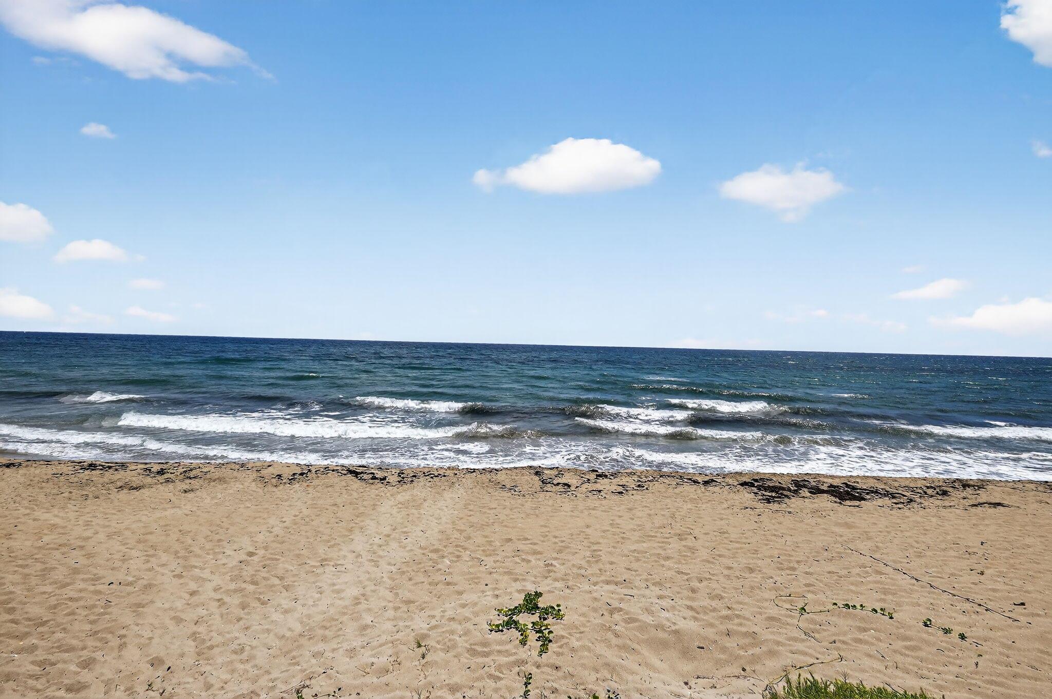 PATRICIAN OF PALM BEACH C - Residential Lease