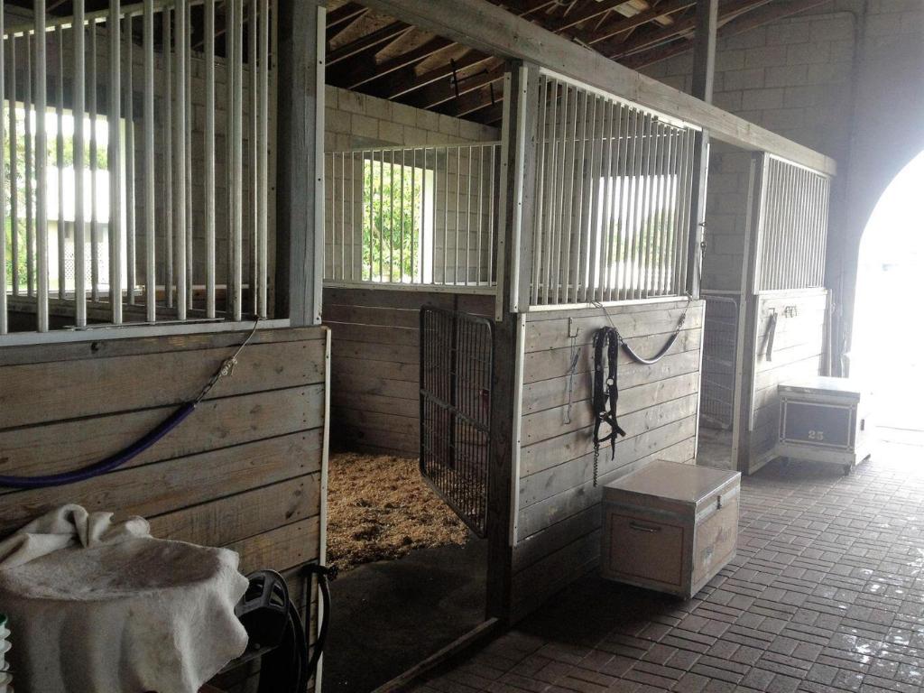 SADDLE TRAIL PARK OF WELLINGTON - Land