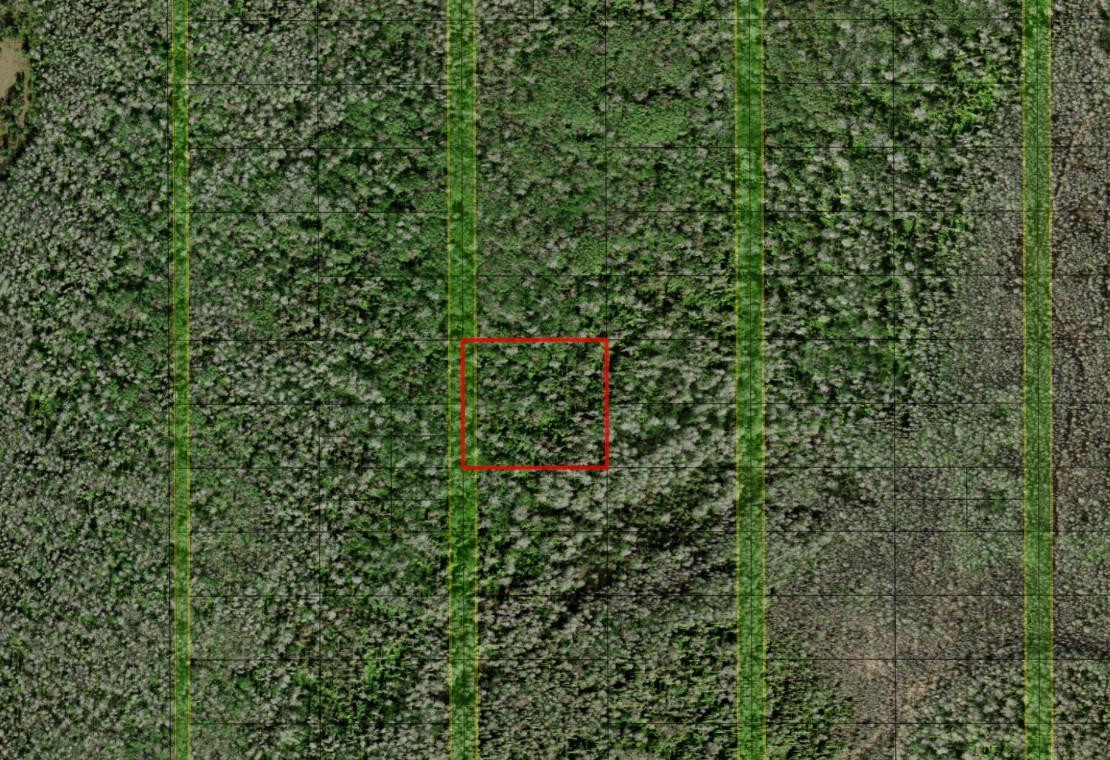 HP109 HOLOPAW - Land