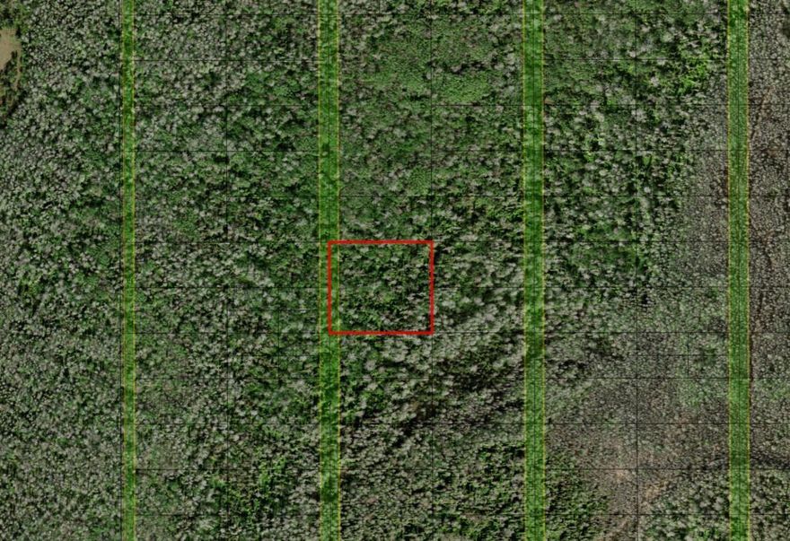 Holopaw offers vast, open spaces and abundant trails perfect for four-wheeler enthusiasts, making it a haven for off-road adventures. The area’s rich wildlife and serene natural environment provide excellent hunting opportunities for outdoor enthusiasts. Owning property in Holopaw ensures easy access to these activities, creating a personal retreat in the heart of Florida’s wilderness.Owner financing available