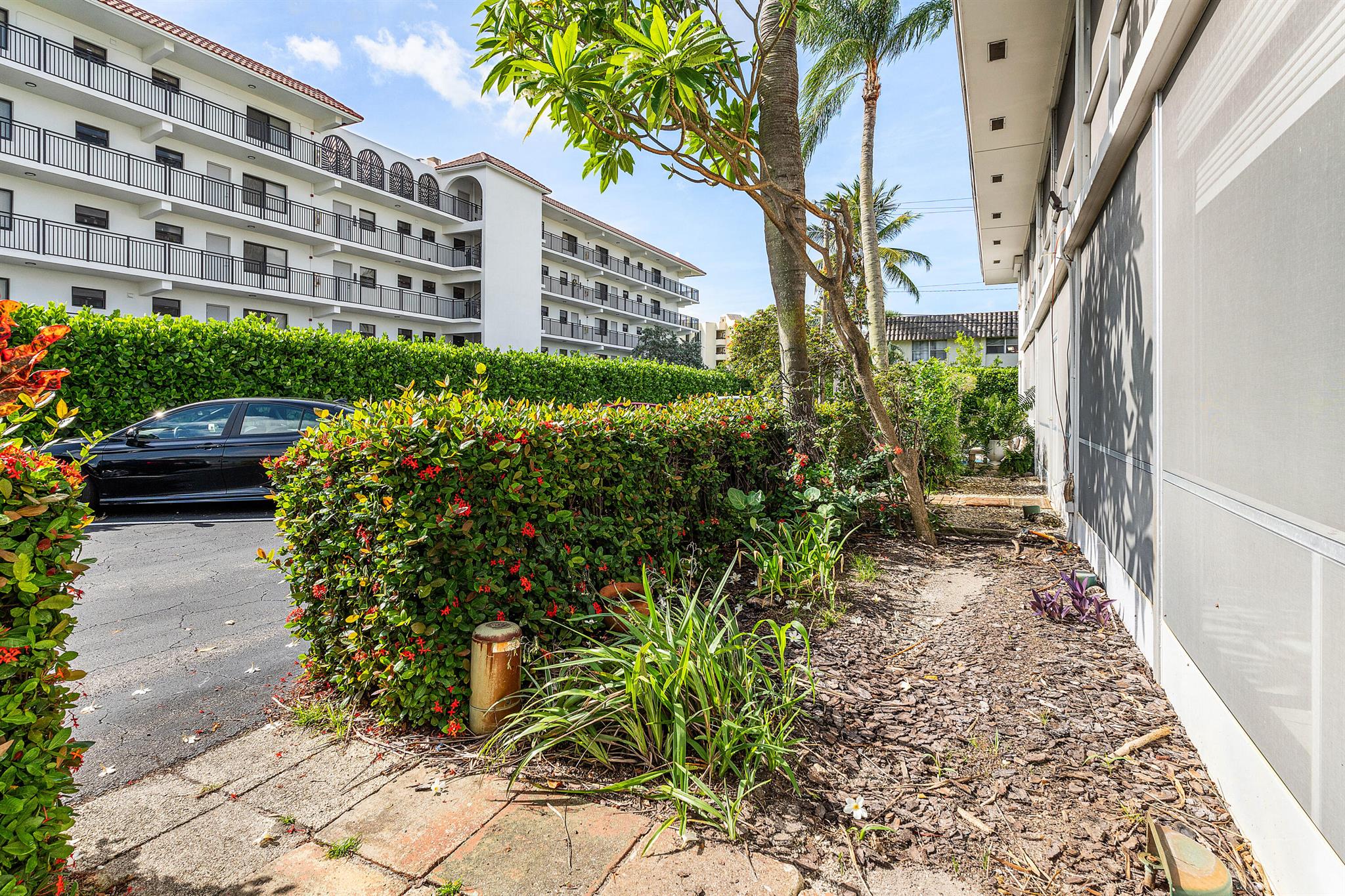 PALM ROYAL APTS INC CONDO - Residential