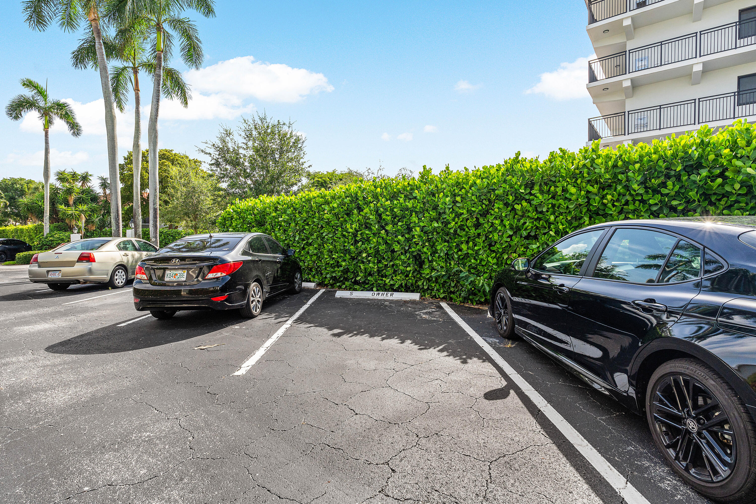 PALM ROYAL APTS INC CONDO - Residential