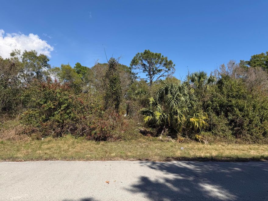 Corner vacant lot in residential area. Ready for development. Ideal for new home construction or long term investment. Septic required. City water available for hook up.