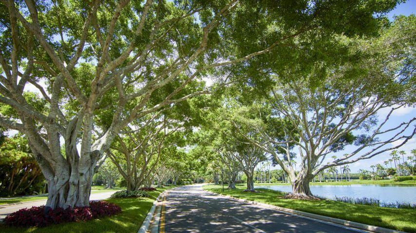 Ibis - The Woodlands - Residential