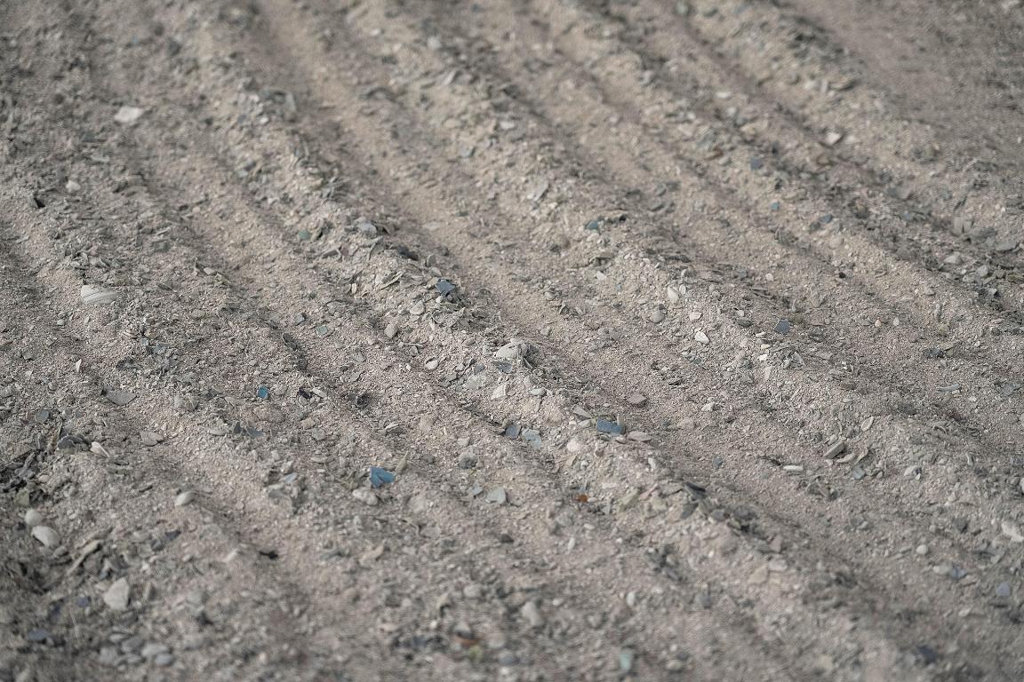 BOX RANCH GROVES - Residential