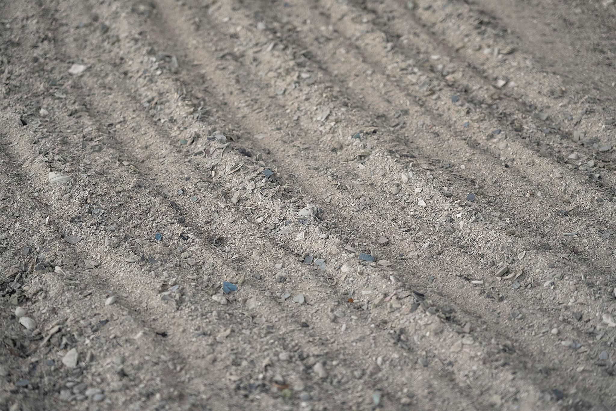 BOX RANCH GROVES - Residential