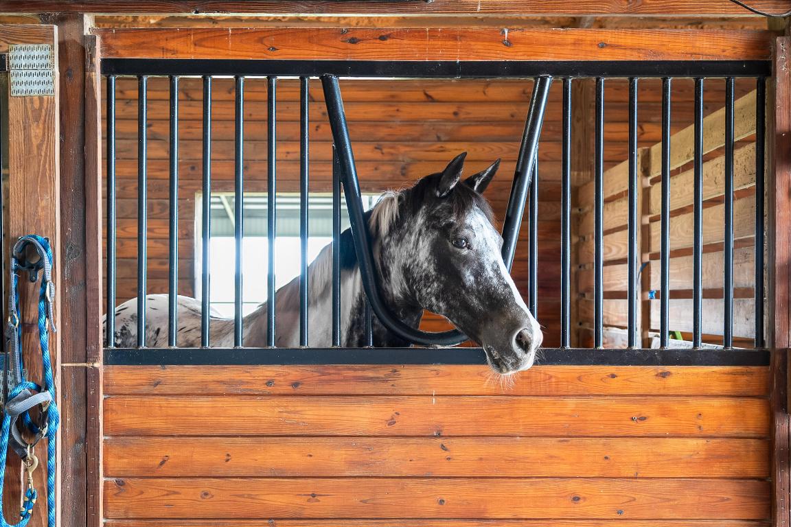 BOX RANCH GROVES - Residential