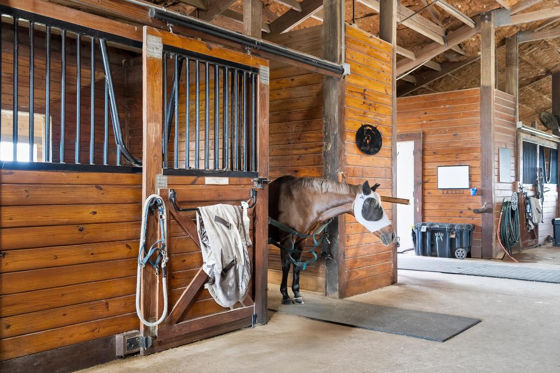 BOX RANCH GROVES - Residential