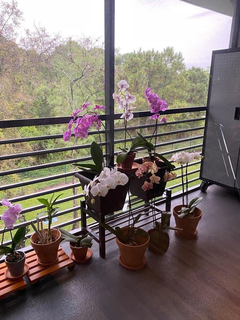 Bonaire at Woodmont - Residential