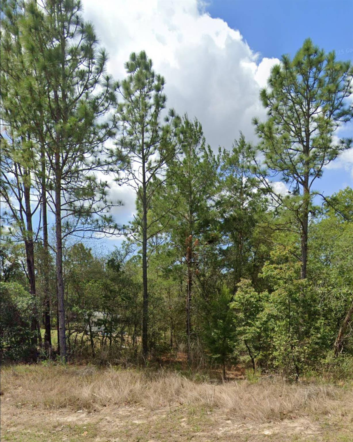 Citrus Spgs Unit 10 - Land