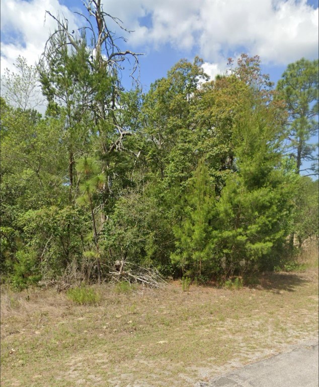 Citrus Spgs Unit 10 - Land