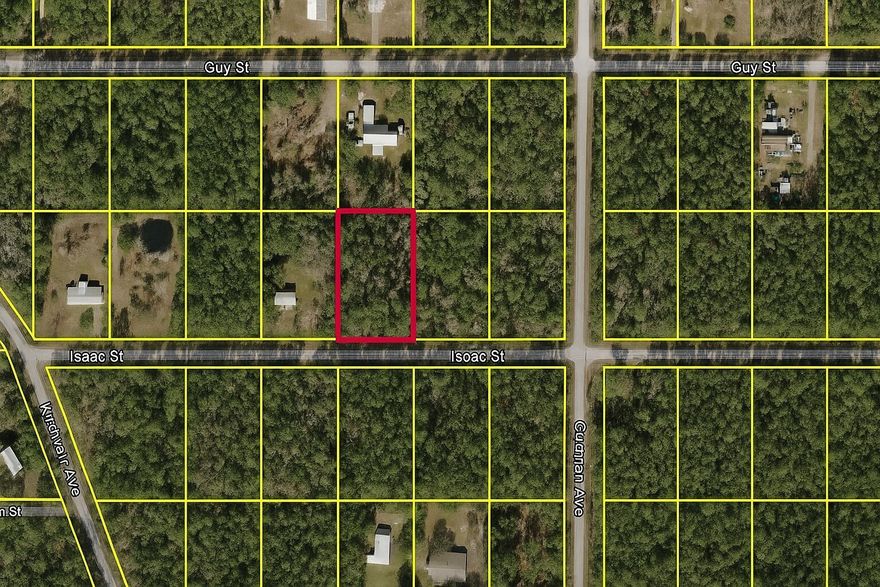 Great opportunity to own  (1.14-acre) lot in the quiet Flagler Estates community of Hastings, FL!This high and dry parcel with electricity is ideal for building your dream home or holding as an investment.Enjoy no HOA, no CDD fees, and no deed restrictions--bring your boats, RVs, and animals! Conveniently located near Deep Creek, St. Johns River, and just a short drive to St. Augustine, Palm Coast, and local beaches. Experience peaceful country living with easy access to city amenities. Check this out and submit your offer today!