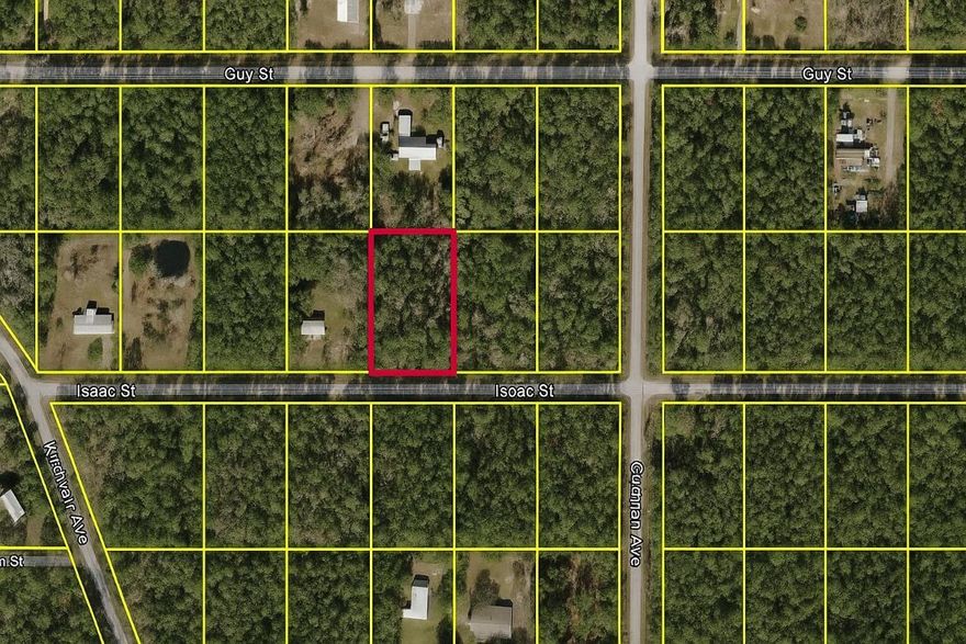 Great opportunity to own  (1.14-acre) lot in the quiet Flagler Estates community of Hastings, FL!This high and dry parcel with electricity is ideal for building your dream home or holding as an investment.
Enjoy no HOA, no CDD fees, and no deed restrictions—bring your boats, RVs, and animals! Conveniently located near Deep Creek, St. Johns River, and just a short drive to St. Augustine, Palm Coast, and local beaches. Experience peaceful country living with easy access to city amenities. Check this out and submit your offer today!