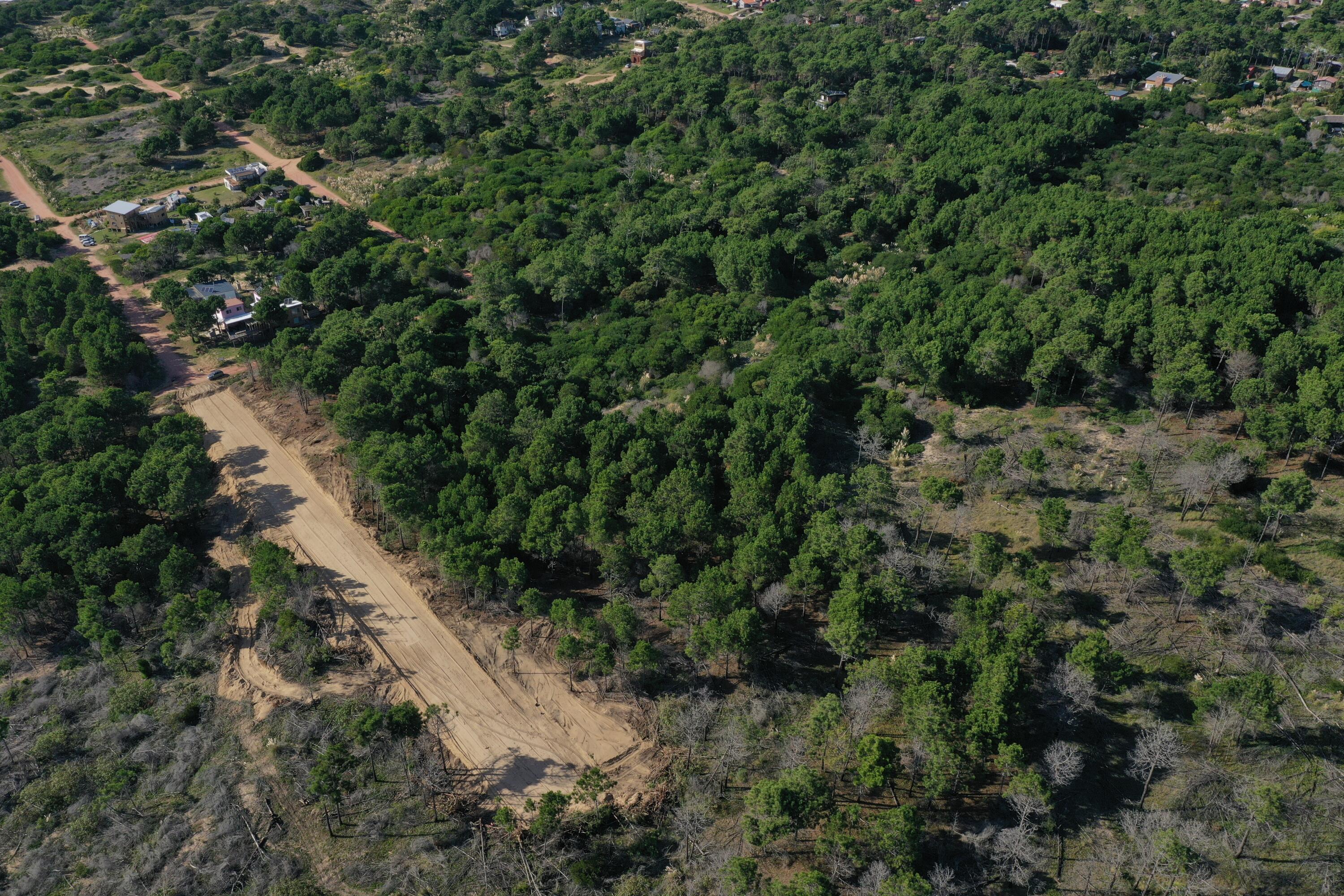 Rocha, Punta del Diablo, Uruguay. - Land