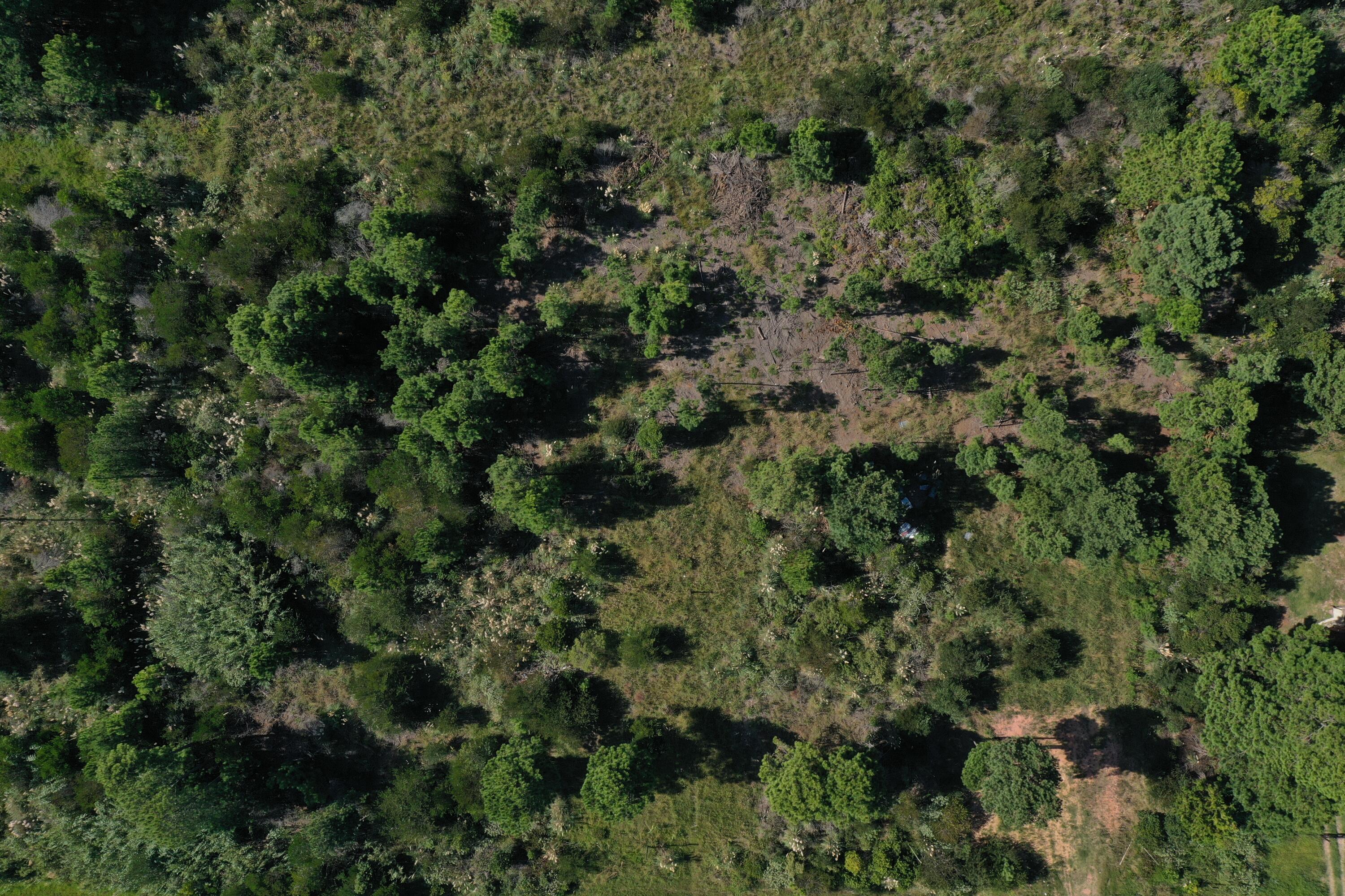 Rocha, Punta del Diablo, Uruguay. - Land