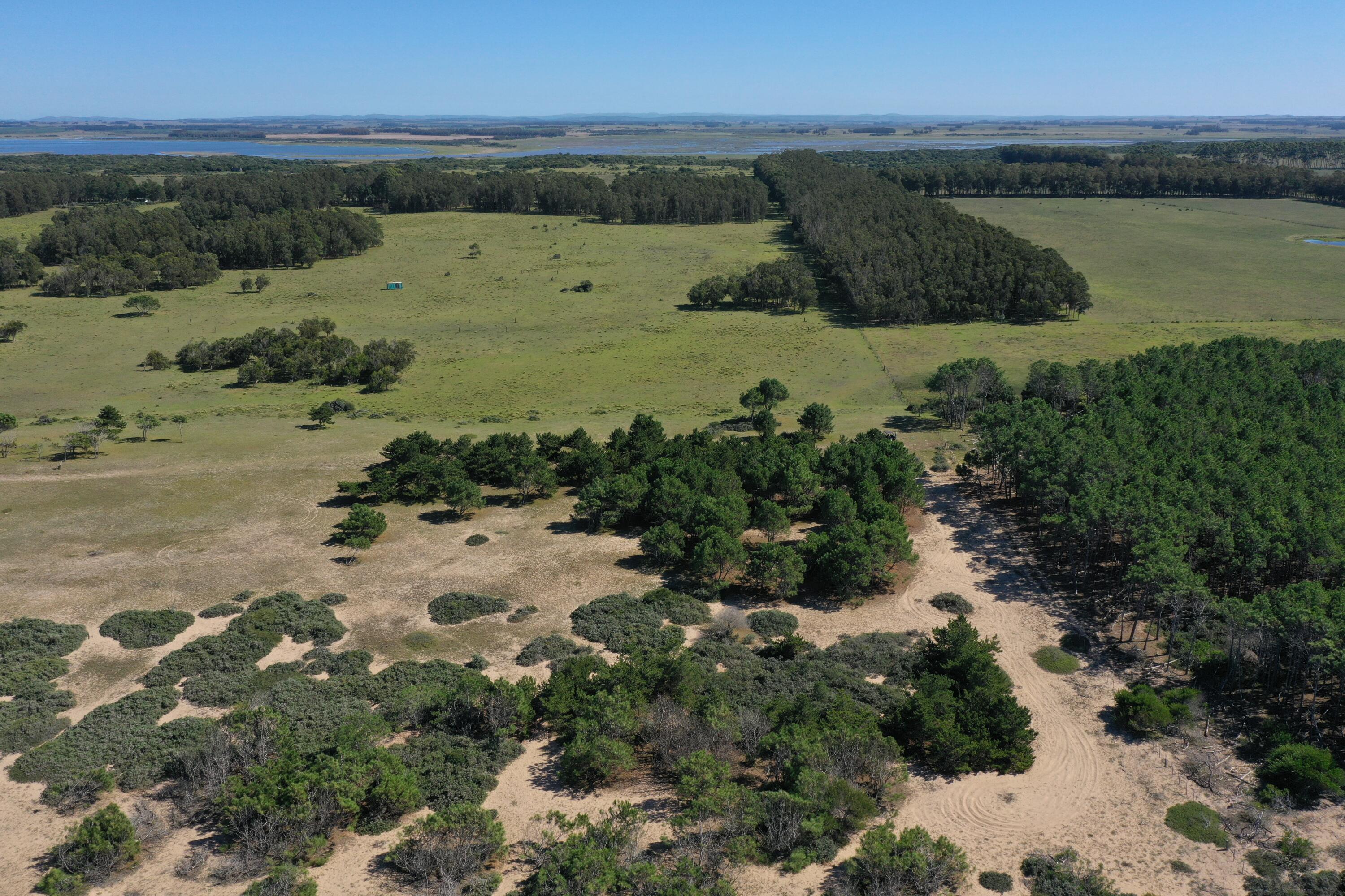 Rocha, Punta del Diablo, Uruguay. - Land