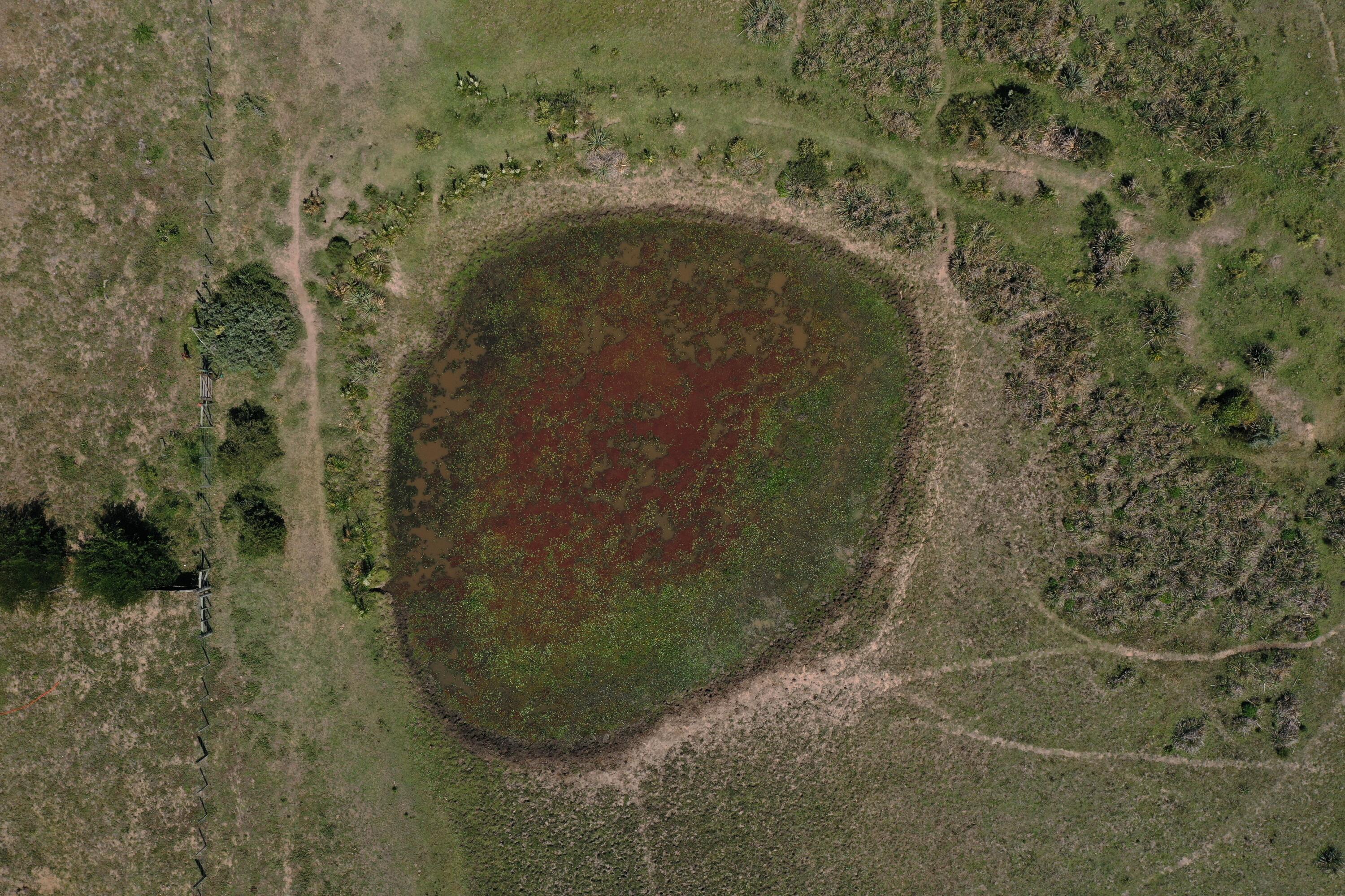 Rocha, Punta del Diablo, Uruguay. - Land